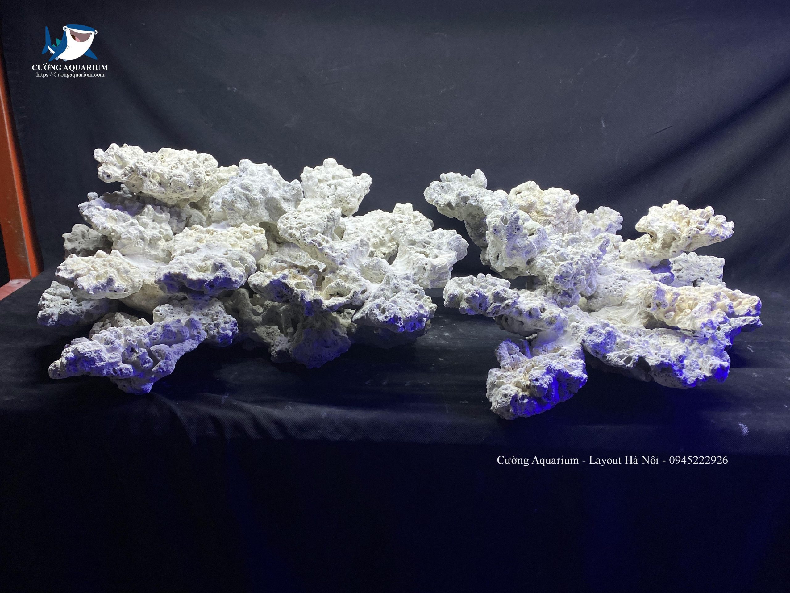 layout-ca-canh-bien-cuongaquarium (347)