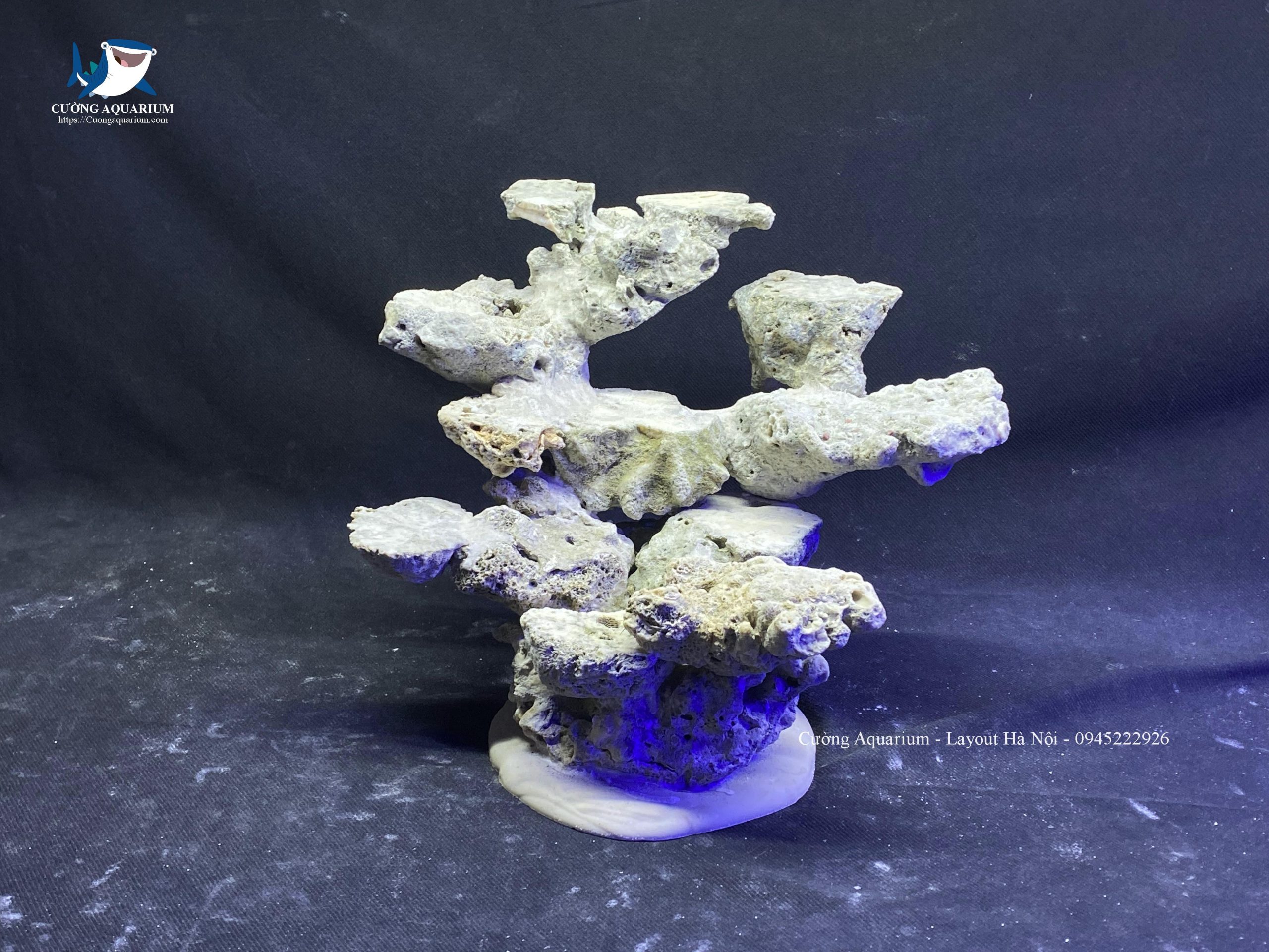 layout-ca-canh-bien-cuongaquarium (354)