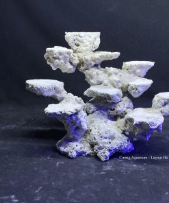 MÃ 134 - LAYOUT CÁ CẢNH BIỂN BỂ 35CM - ROYALAQUA