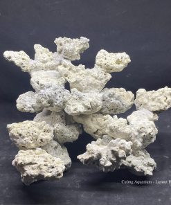 MÃ 135 - LAYOUT CÁ BIỂN BỂ 40CM - ROYALAQUA