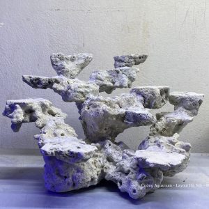 MÃ 137 - LAYOUT CÁ CẢNH BIỂN BỂ 35CM - ROYALAQUA