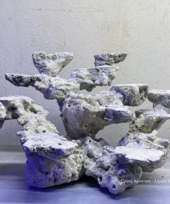 MÃ 137 - LAYOUT CÁ CẢNH BIỂN BỂ 35CM - ROYALAQUA