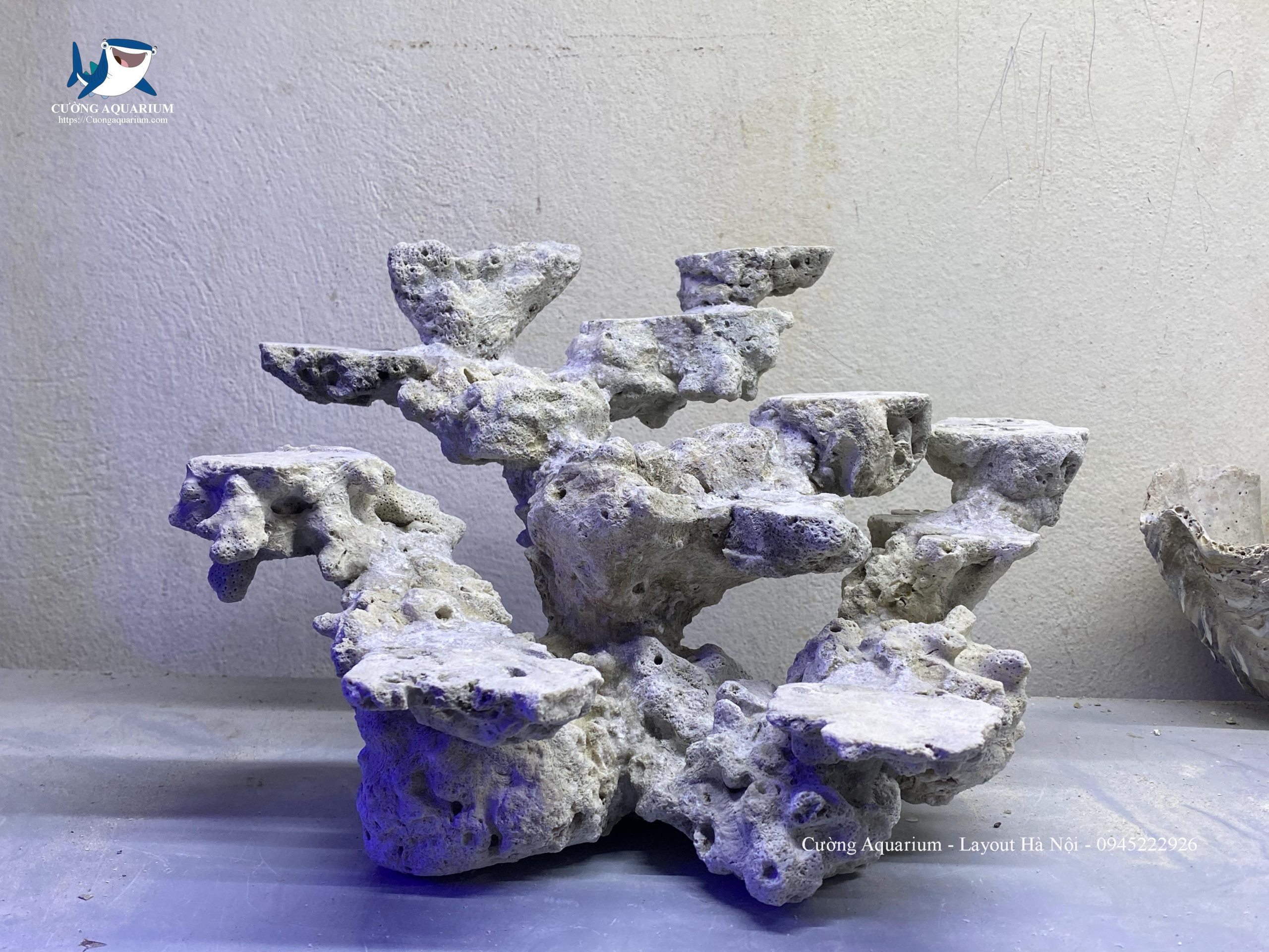 layout-ca-canh-bien-cuongaquarium (369)