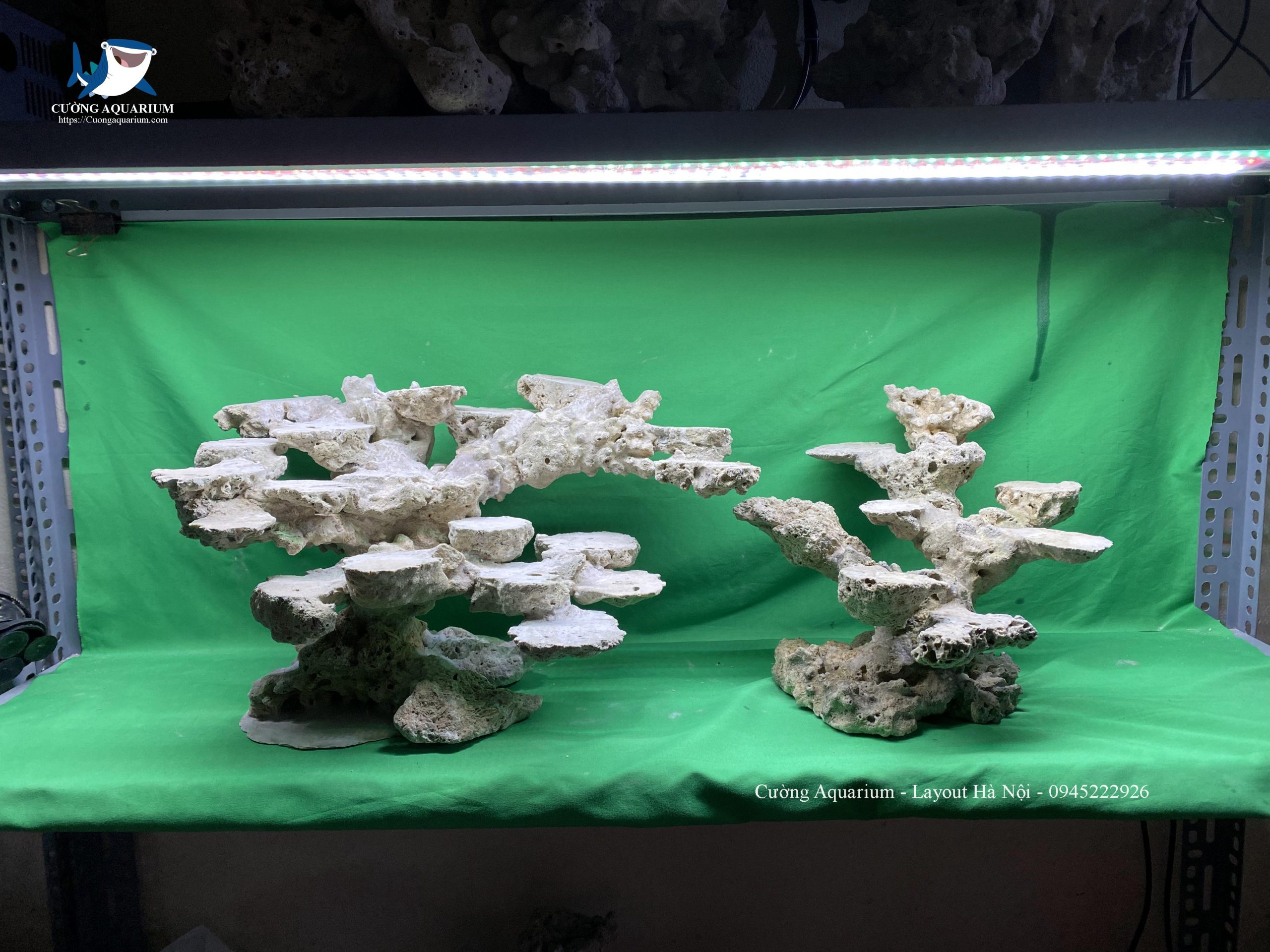 layout-ca-canh-bien-cuongaquarium (37)
