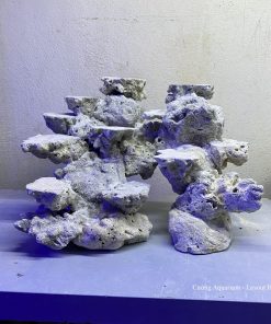 MÃ 138 - LAYOUT CÁ BIỂN BỂ 40CM - ROYALAQUA