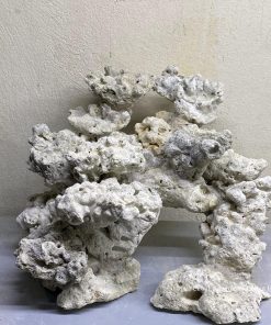 MÃ 139 - LAYOUT CÁ BIỂN BỂ 40CM - ROYALAQUA