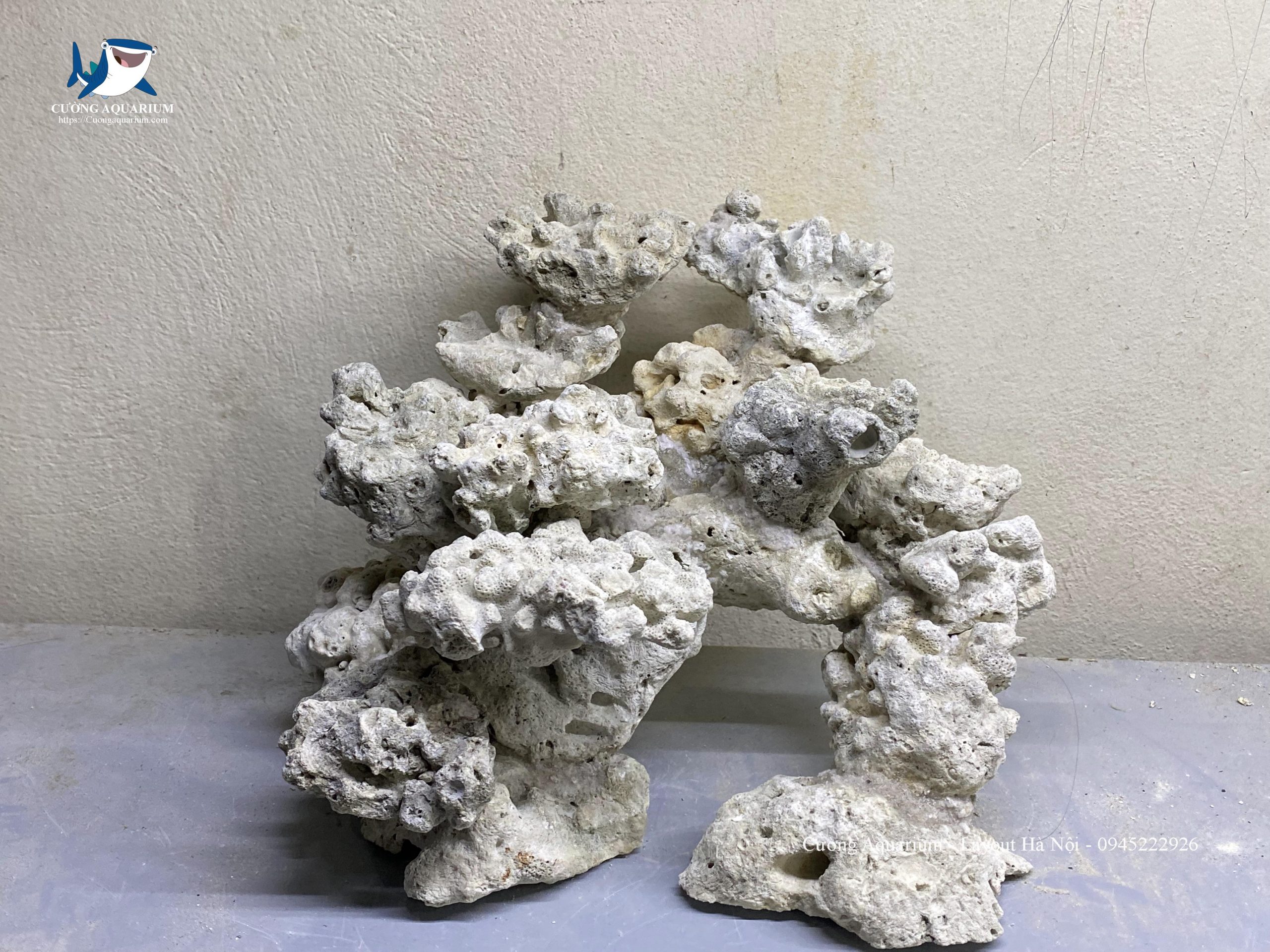 layout-ca-canh-bien-cuongaquarium (380)