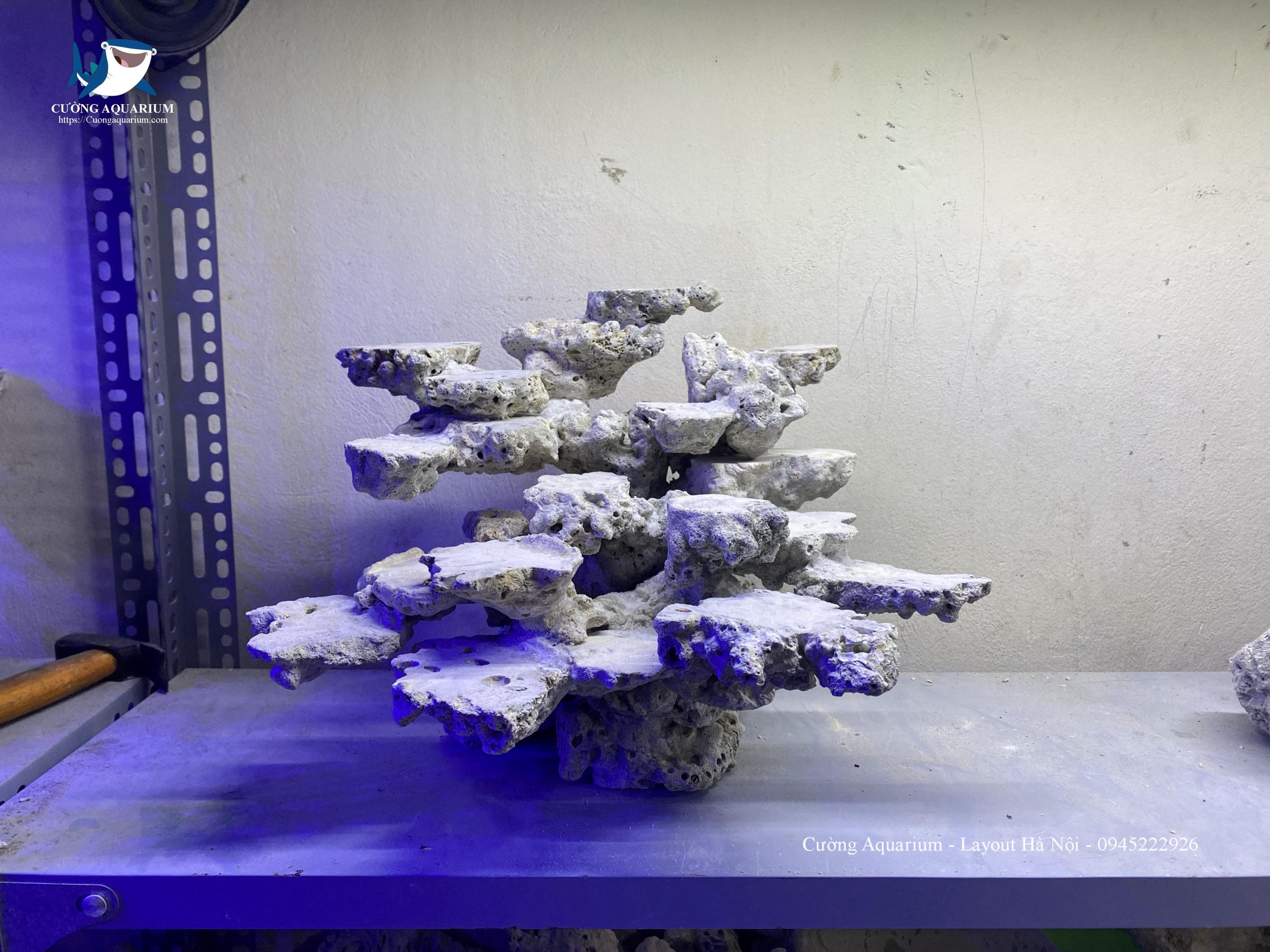 layout-ca-canh-bien-cuongaquarium (389)