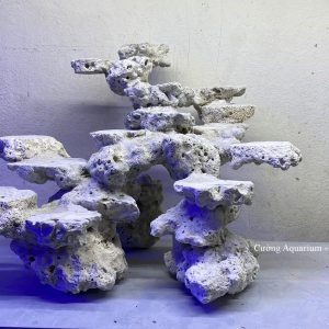 MÃ 141 - LAYOUT CÁ BIỂN BỂ 40CM - ROYALAQUA