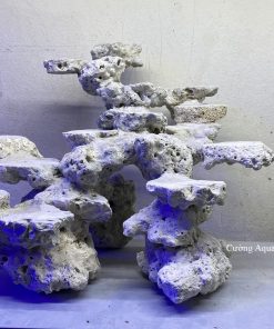 MÃ 141 - LAYOUT CÁ BIỂN BỂ 40CM - ROYALAQUA