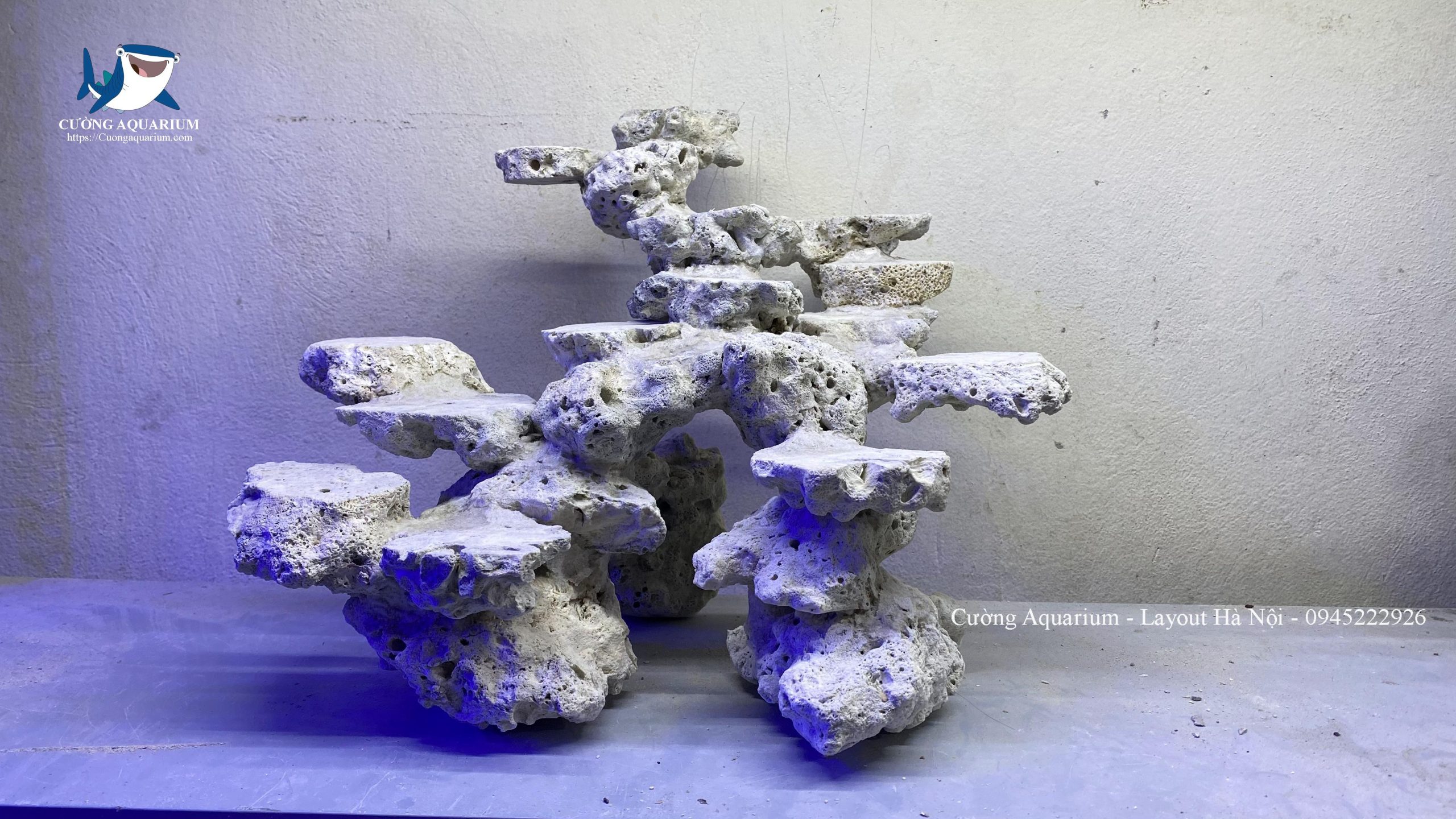 layout-ca-canh-bien-cuongaquarium (393)