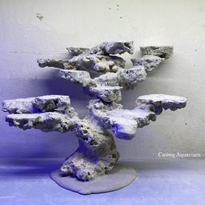 MÃ 142 - LAYOUT CÁ BIỂN BỂ 50 - 60CM - ROYALAQUA