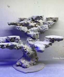 MÃ 142 - LAYOUT CÁ BIỂN BỂ 50 - 60CM - ROYALAQUA