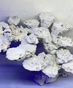 MÃ 143 - LAYOUT CÁ BIỂN BỂ 50CM - ROYALAQUA