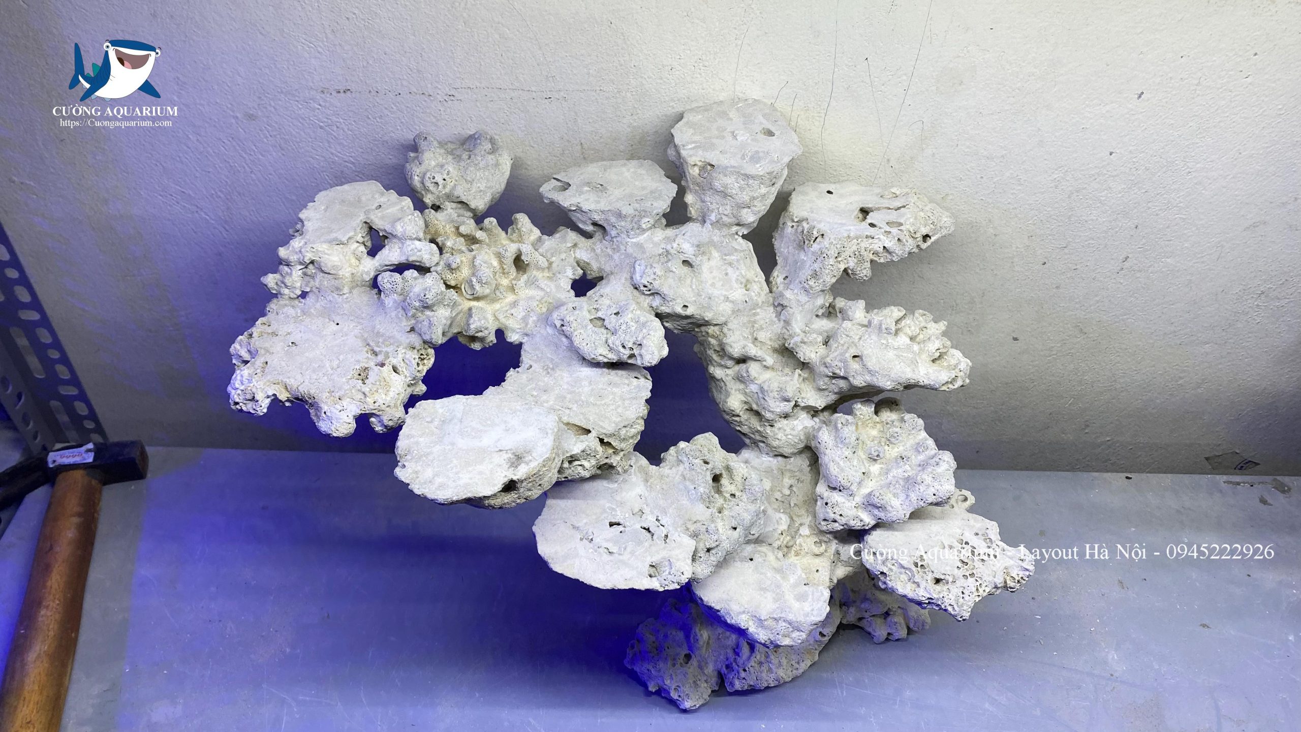 layout-ca-canh-bien-cuongaquarium (407)