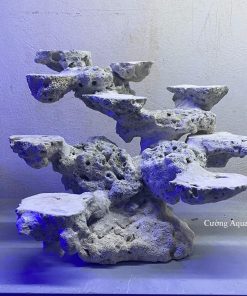 MÃ 144 - LAYOUT CÁ BIỂN BỂ 40CM - ROYALAQUA