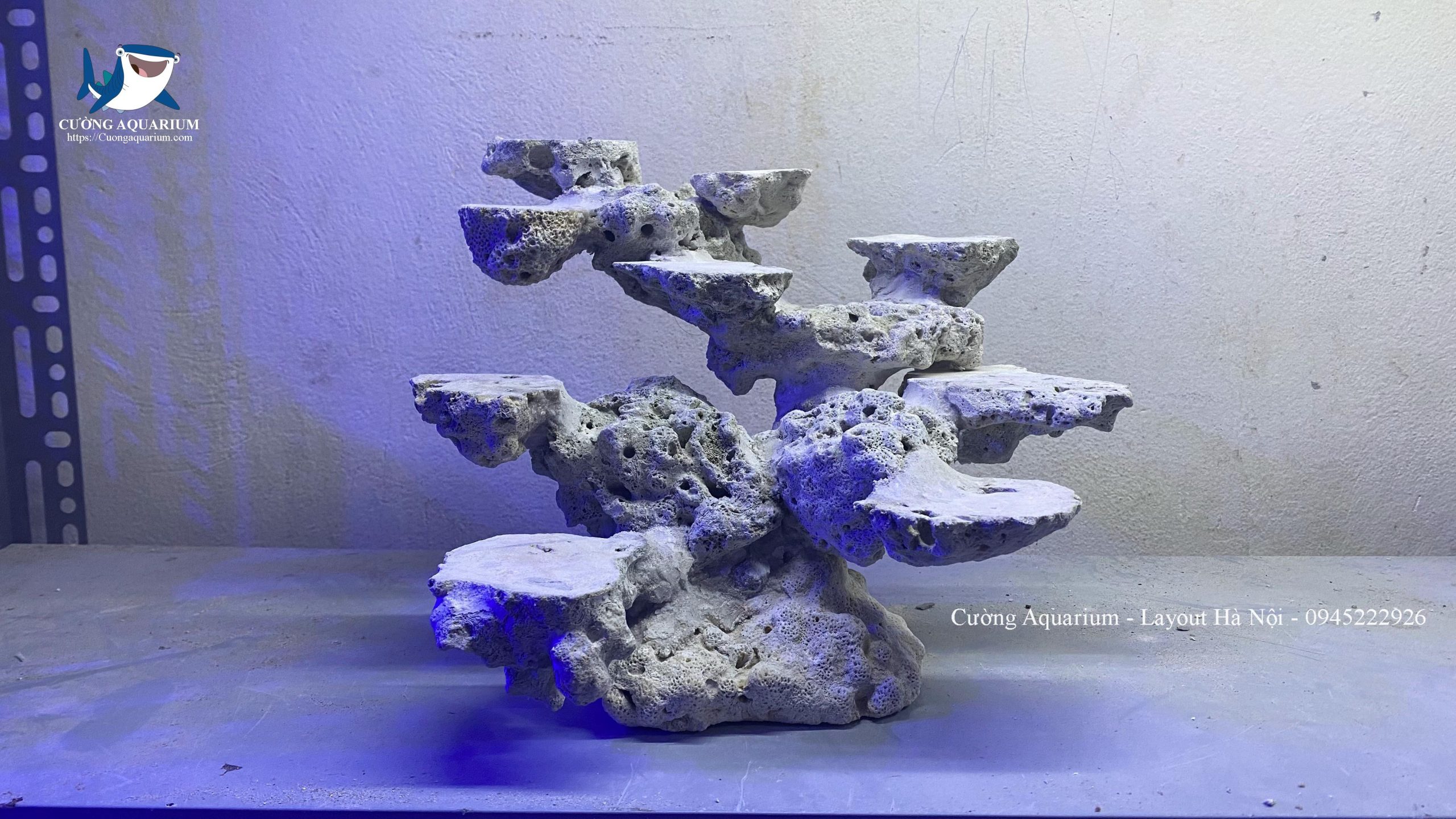 layout-ca-canh-bien-cuongaquarium (410)