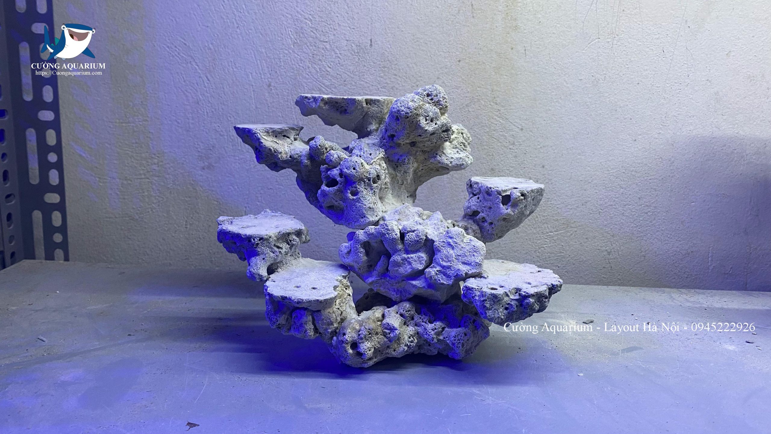 layout-ca-canh-bien-cuongaquarium (414)