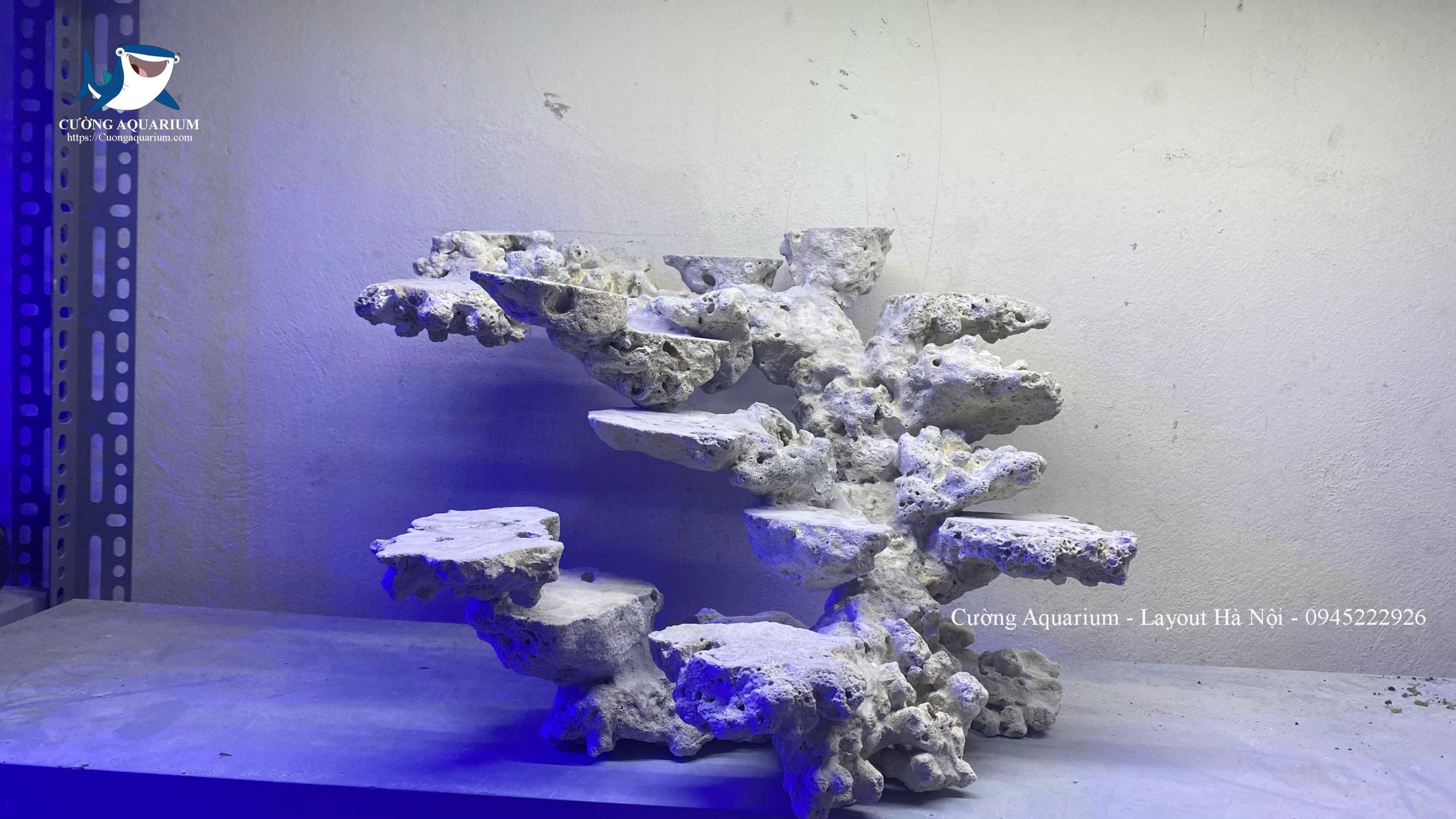layout-ca-canh-bien-cuongaquarium (418)
