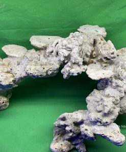 MÃ 67 - LAYOUT CÁ BIỂN BỂ 46CM - ROYALAQUA