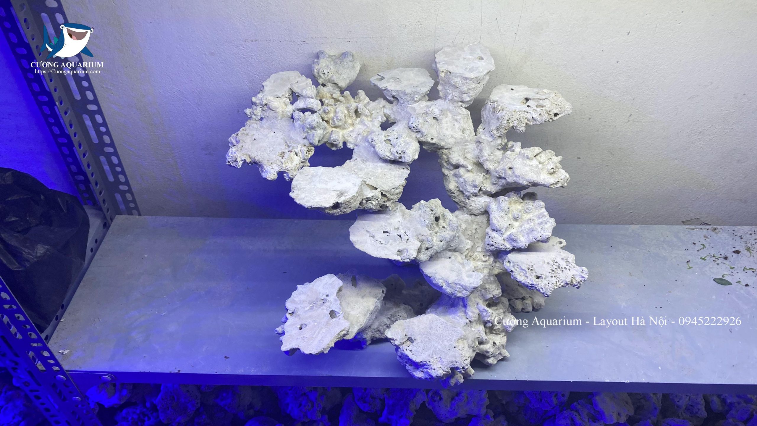 layout-ca-canh-bien-cuongaquarium (420) - Copy