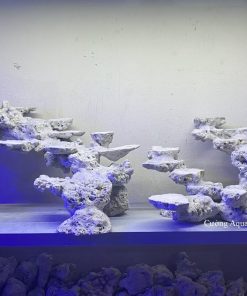 MÃ 148 - LAYOUT CÁ BIỂN BỂ 90 - 120CM - ROYALAQUA