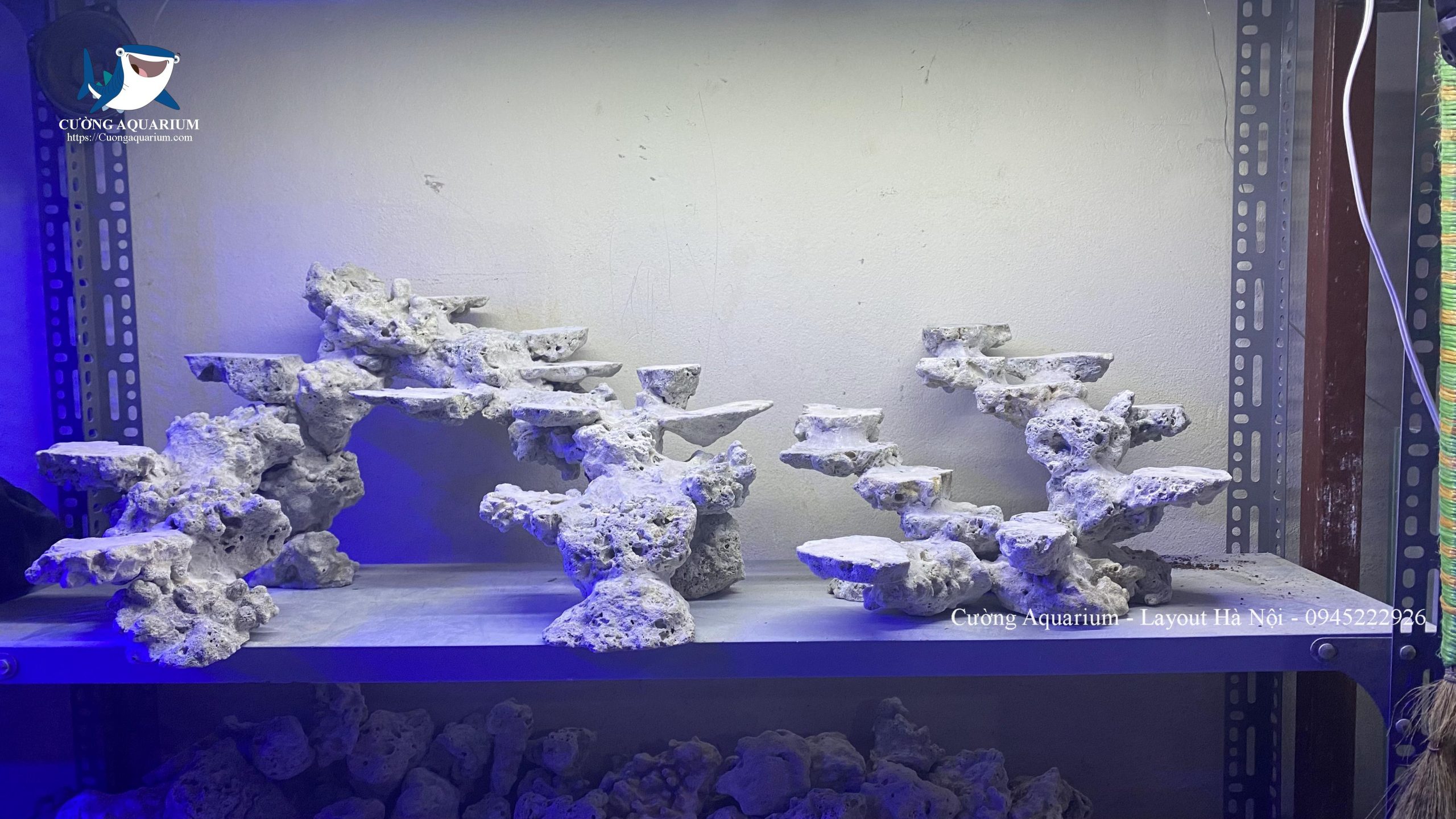 layout-ca-canh-bien-cuongaquarium (422)