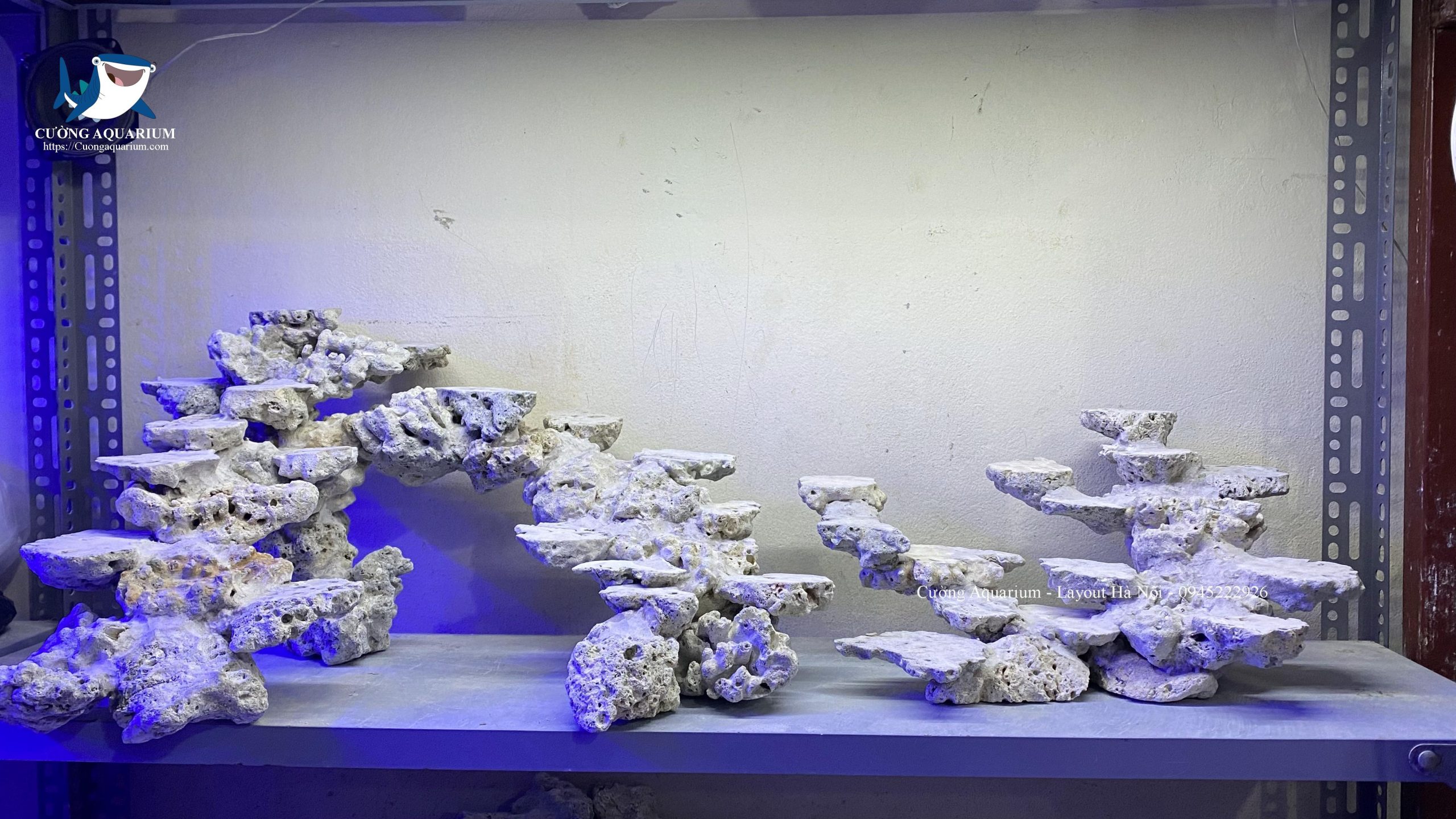layout-ca-canh-bien-cuongaquarium (438)