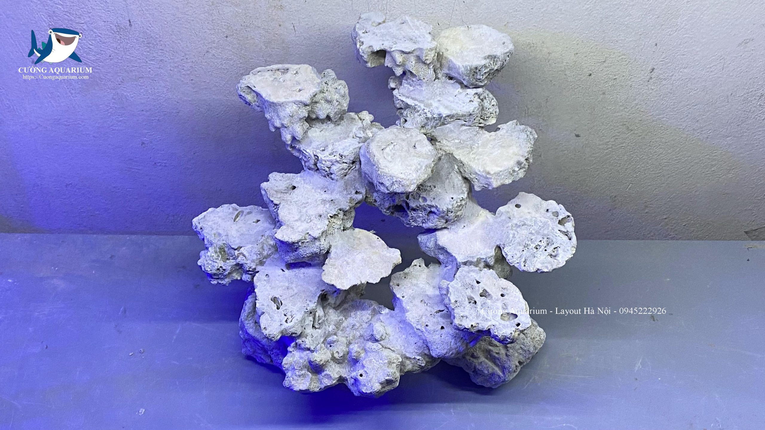 layout-ca-canh-bien-cuongaquarium (444)