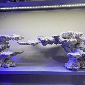 MÃ 153 - LAYOUT CÁ CẢNH BỂ 120CM - ROYALAQUA