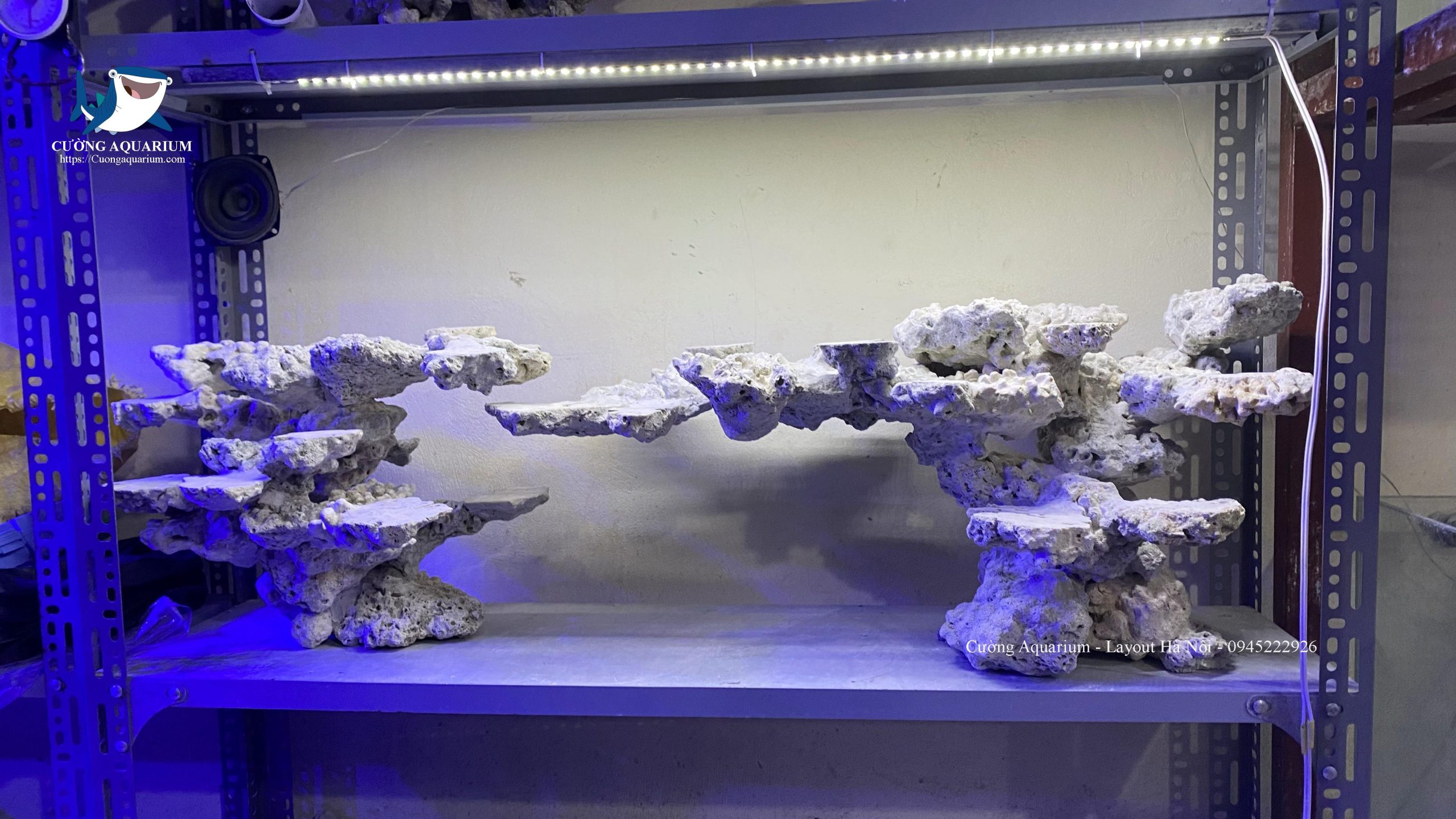 layout-ca-canh-bien-cuongaquarium (463)