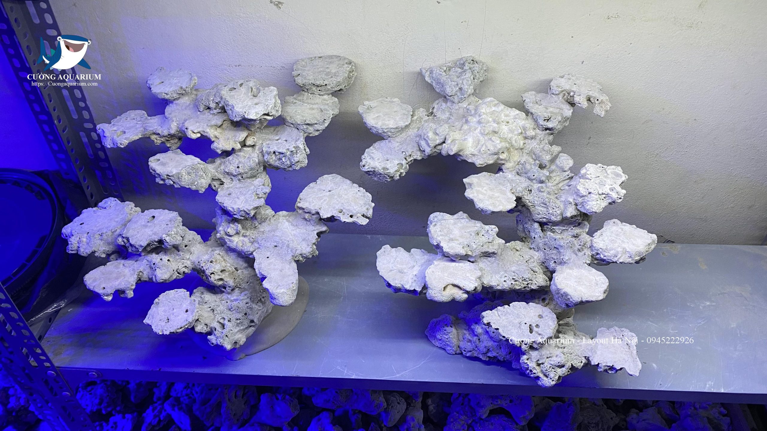 layout-ca-canh-bien-cuongaquarium (471)