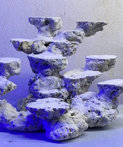 MÃ 156 - LAYOUT CÁ BIỂN BỂ 40CM - ROYALAQUA