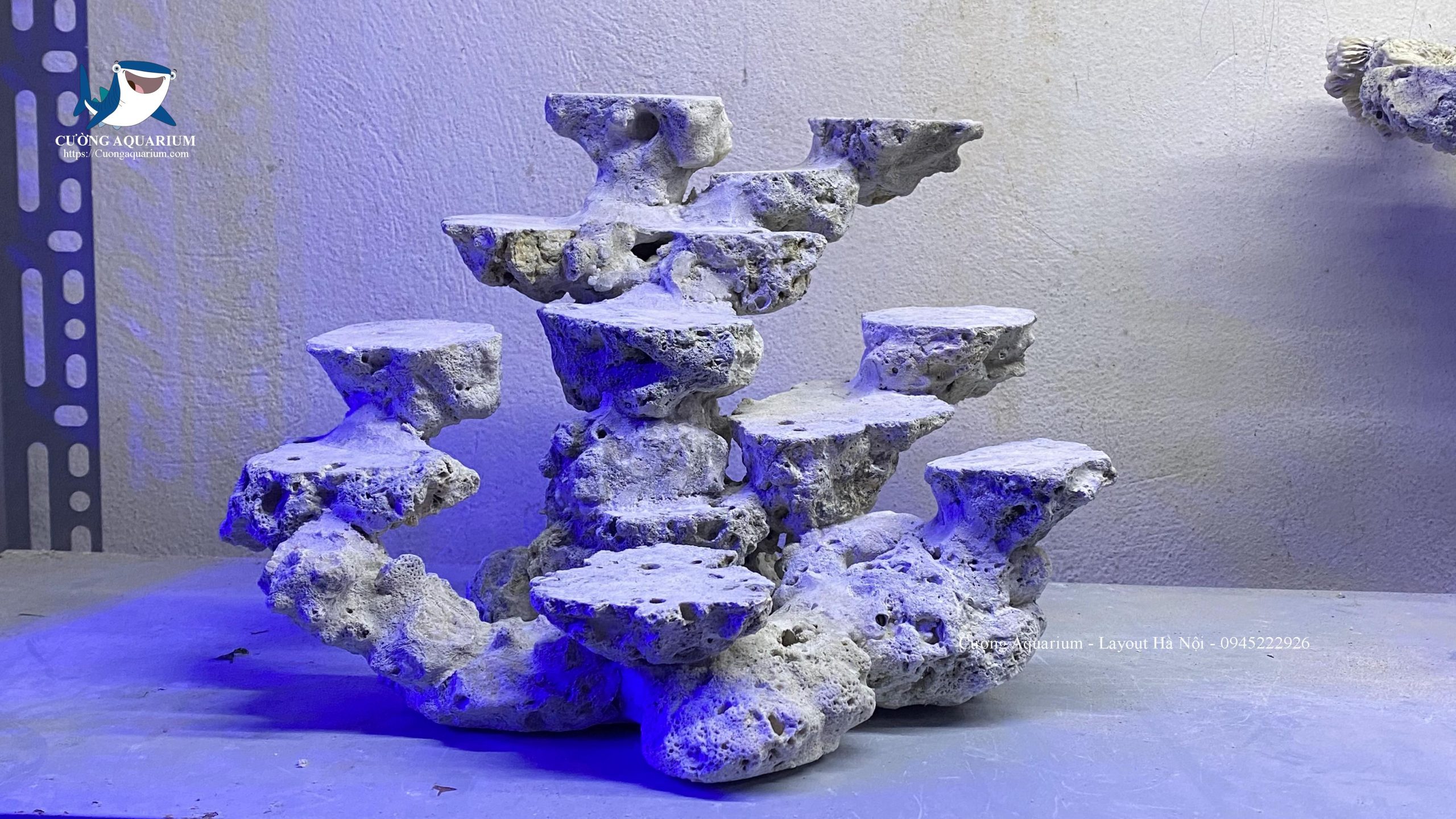 layout-ca-canh-bien-cuongaquarium (478)