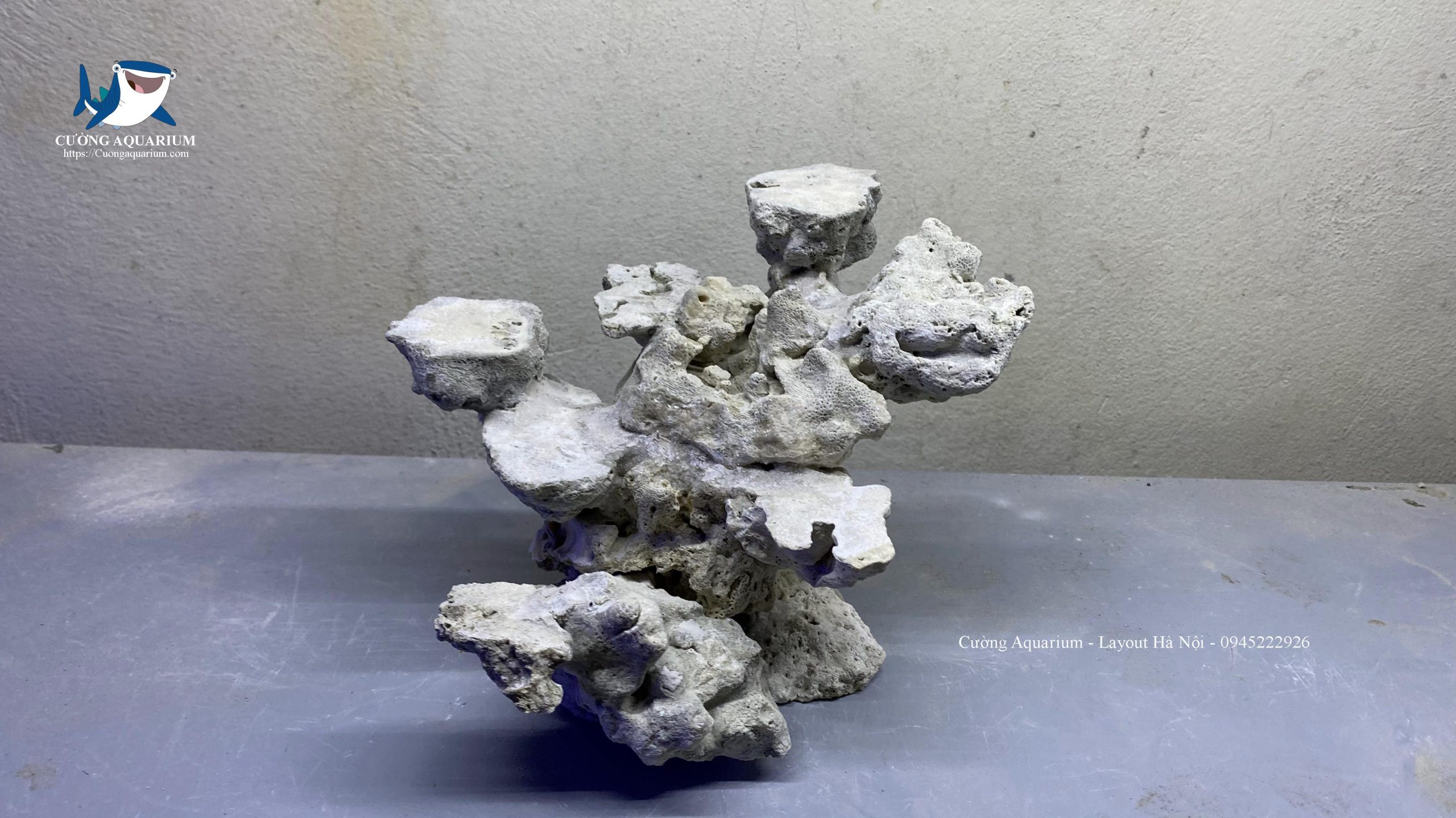 layout-ca-canh-bien-cuongaquarium (494) - Copy