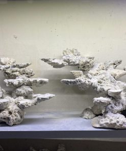 MÃ 160 - LAYOUT CÁ BIỂN BỂ 120CM - ROYALAQUA