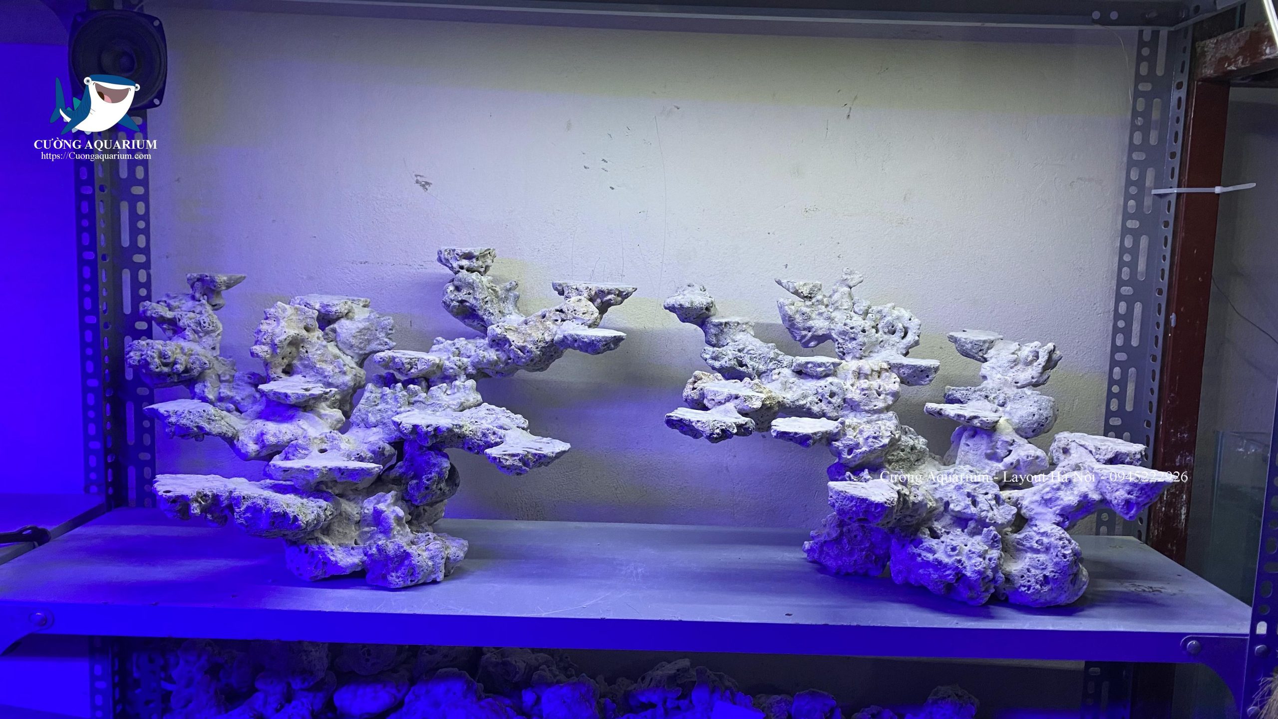 layout-ca-canh-bien-cuongaquarium (521)