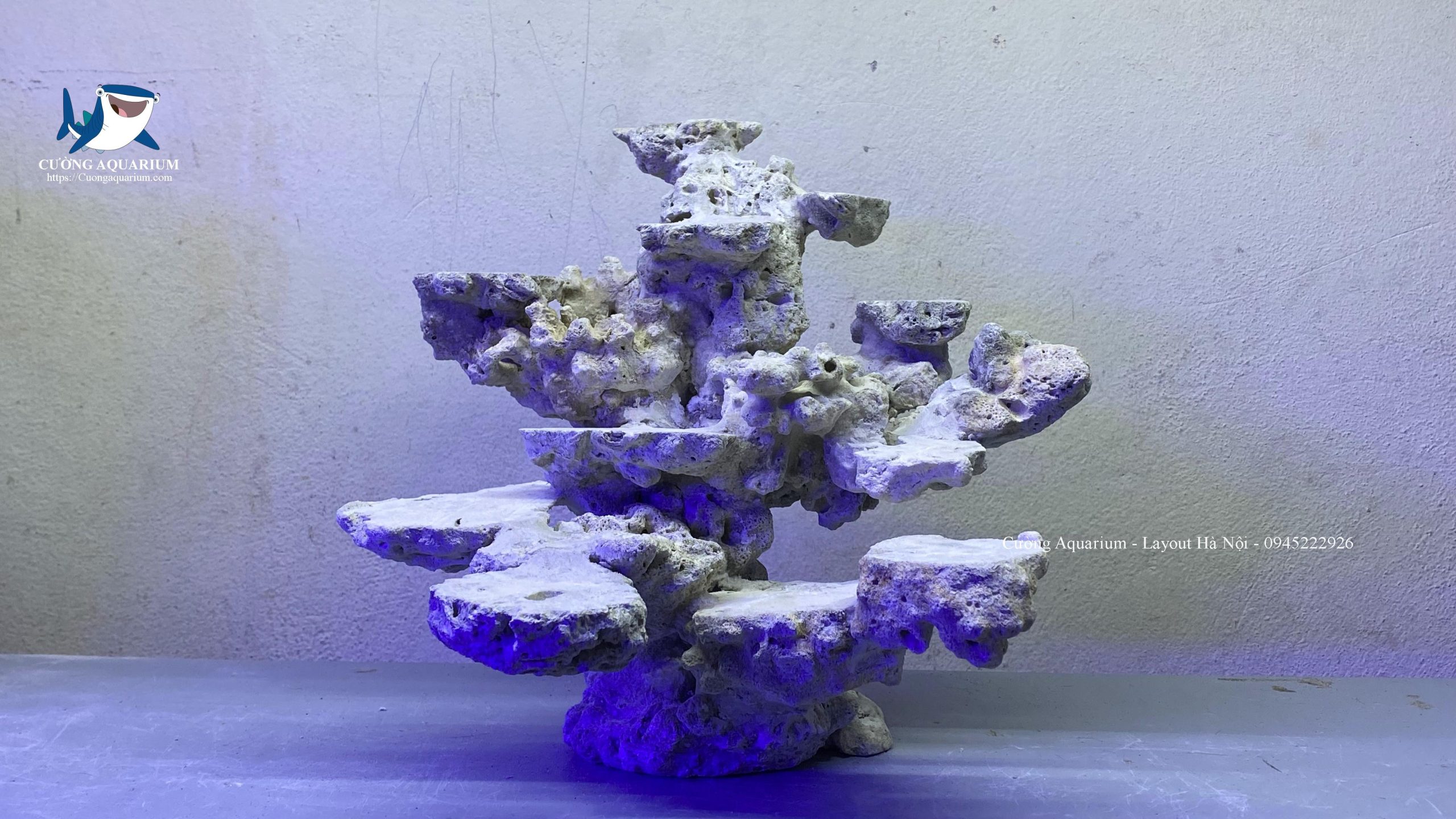 layout-ca-canh-bien-cuongaquarium (526)