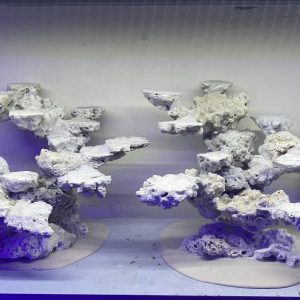 MÃ 165 - LAYOUT CÁ BIỂN BỂ 120CM - ROYALAQUA