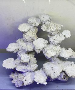 MÃ 166 - LAYOUT CÁ CẢNH BIỂN BỂ 50CM - ROYALAQUA