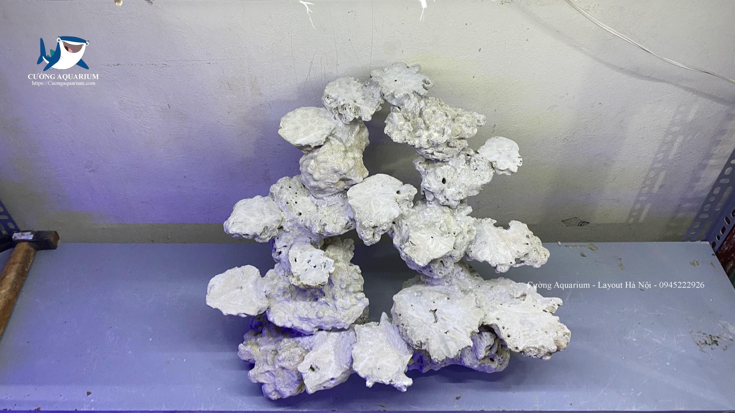 layout-ca-canh-bien-cuongaquarium (542)