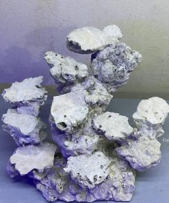 MÃ 167 - LAYOUT CÁ BIỂN BỂ 40CM - ROYALAQUA