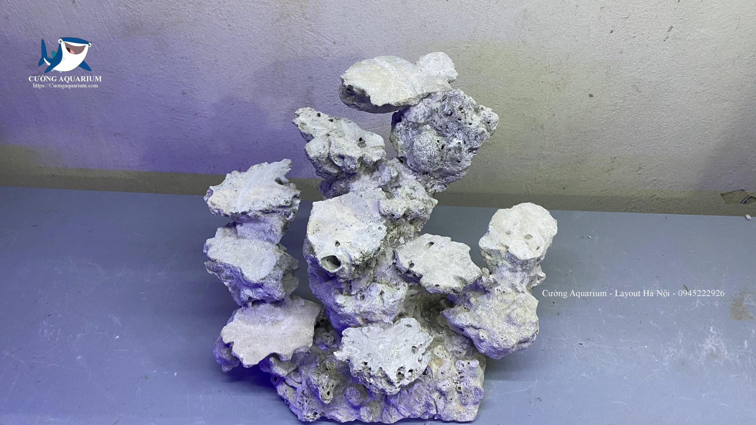 layout-ca-canh-bien-cuongaquarium (546)