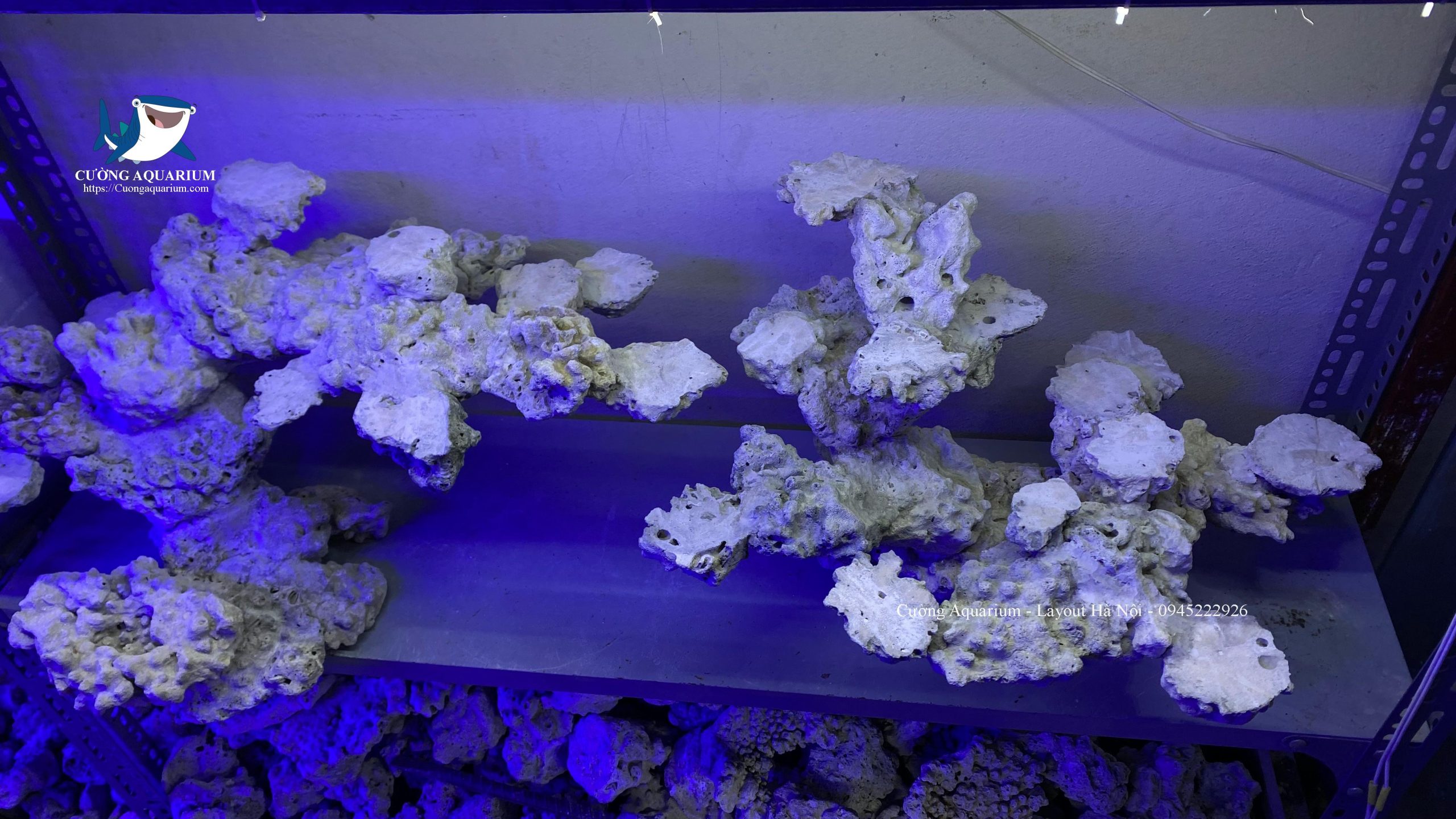 layout-ca-canh-bien-cuongaquarium (559) - Copy - Copy