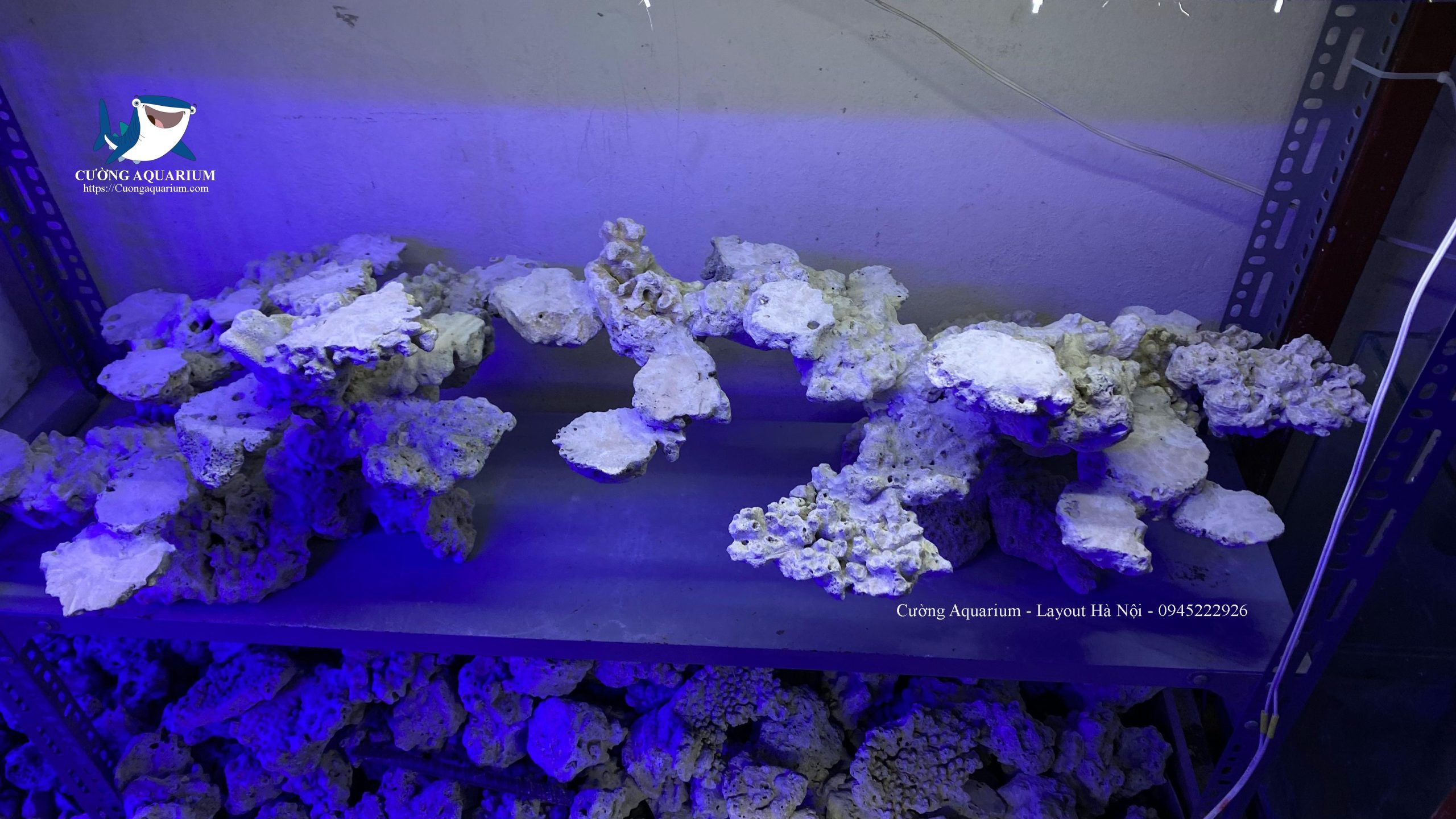 layout-ca-canh-bien-cuongaquarium (564)