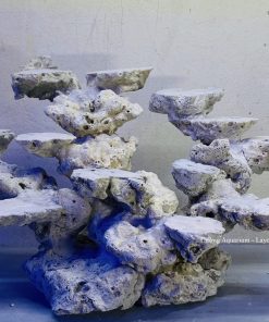 MÃ 172 - LAYOUT CÁ BIỂN BỂ 50CM - ROYALAQUA