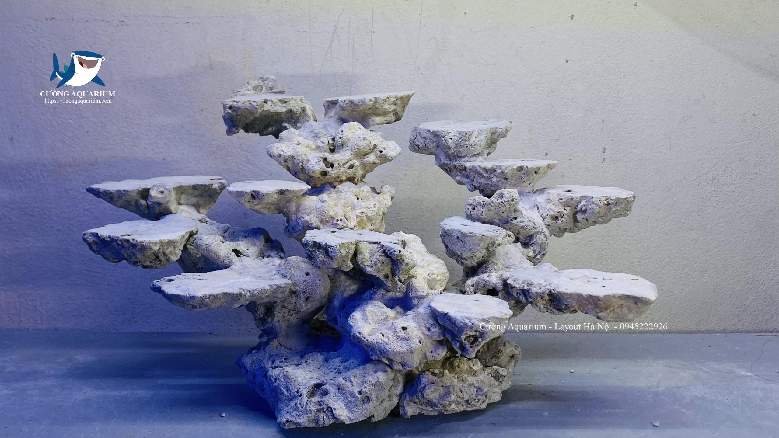 layout-ca-canh-bien-cuongaquarium (566)