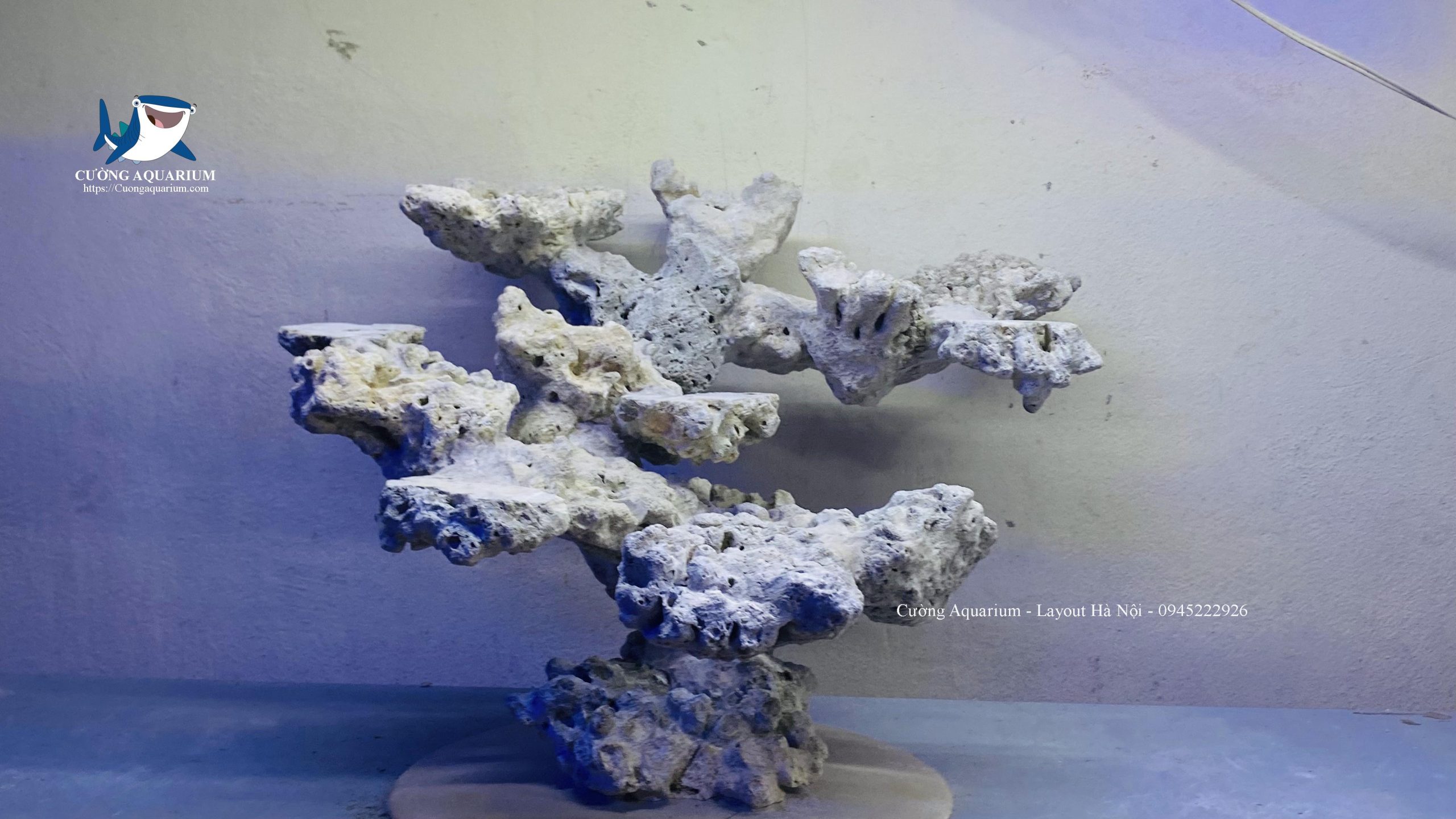 layout-ca-canh-bien-cuongaquarium (571)