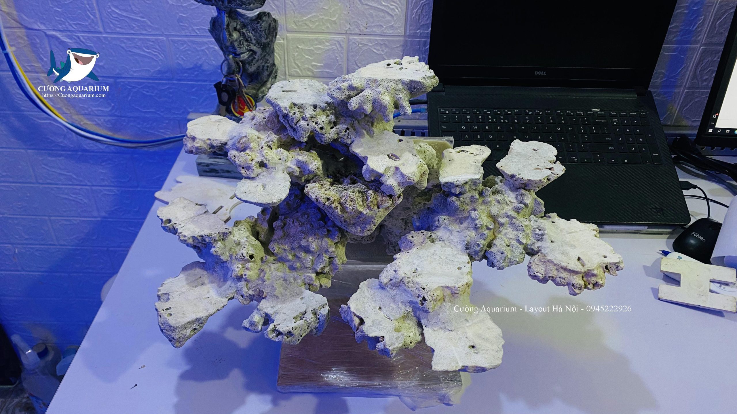 layout-ca-canh-bien-cuongaquarium (576)