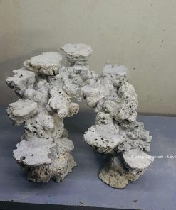 MÃ 175 - LAYOUT CÁ BIỂN BỂ 40CM - ROYALAQUA